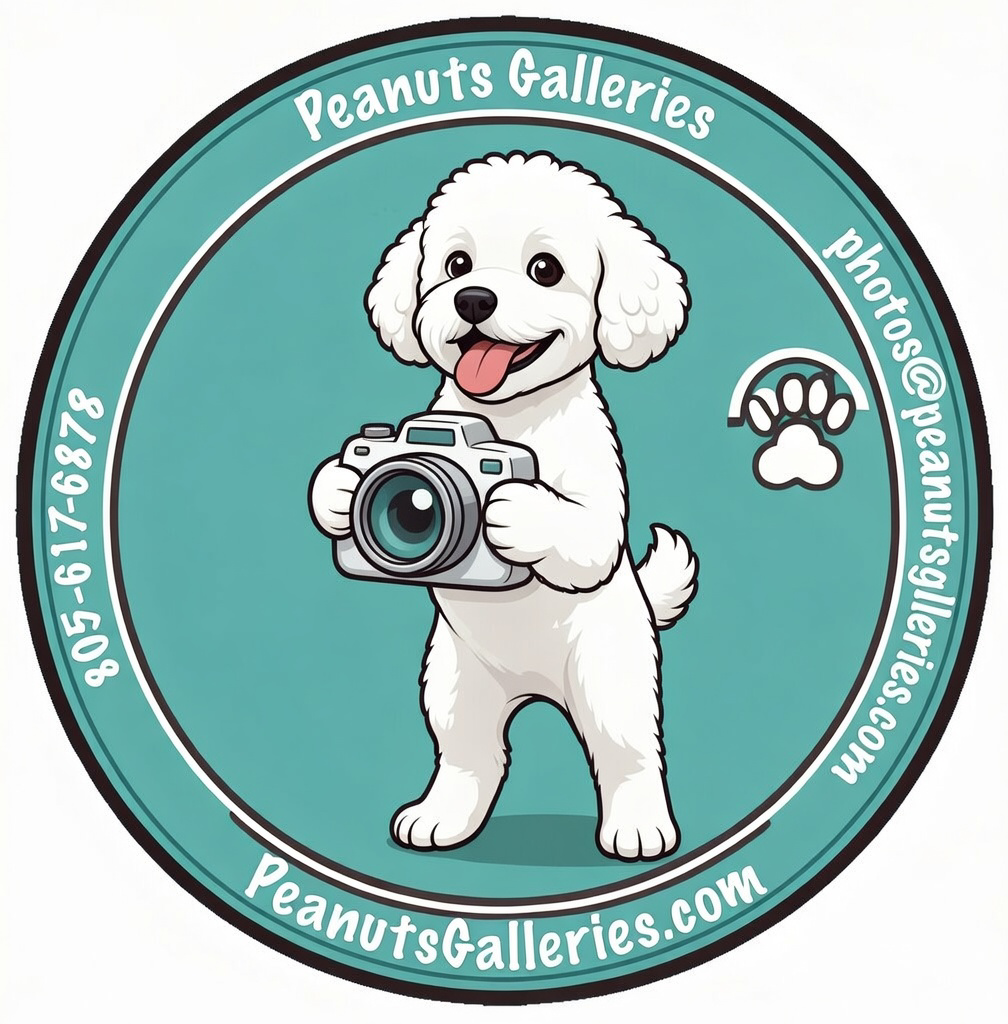 Peanuts Galleries